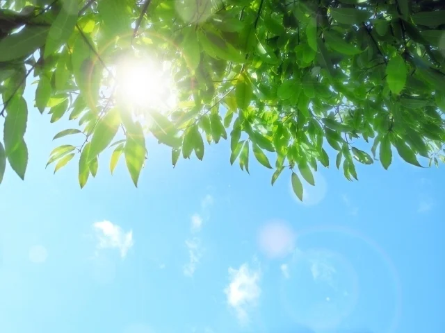 特徴3